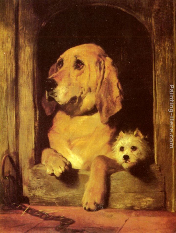 Dignity and Impudence